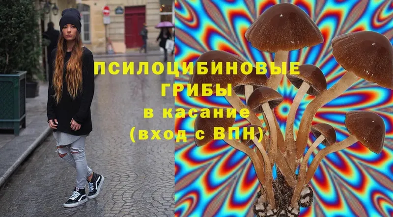 Галлюциногенные грибы Magic Shrooms  Луга 